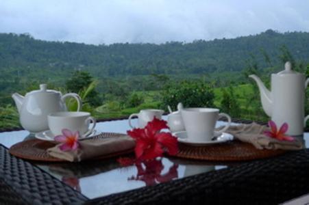 Villa Shantiasa Bali Sidemen  Luaran gambar
