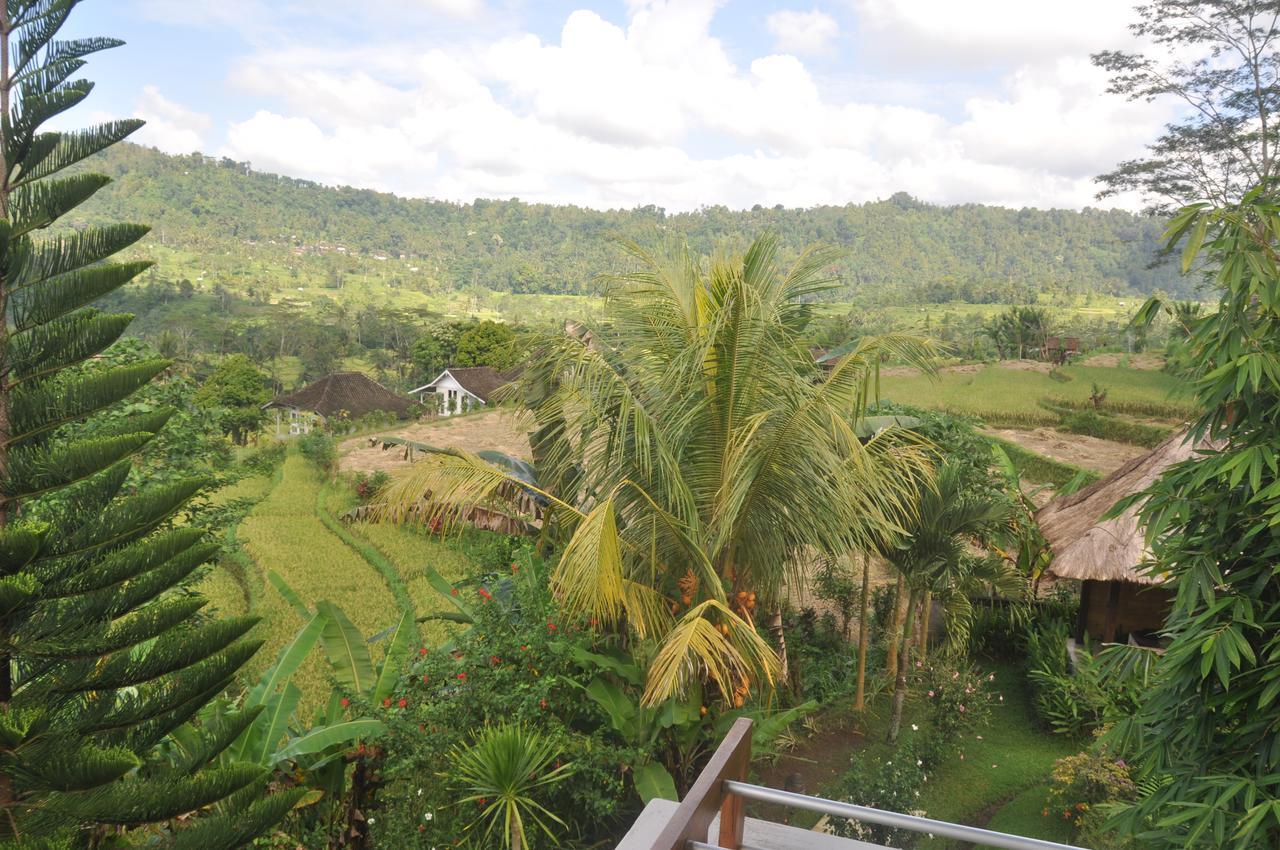 Villa Shantiasa Bali Sidemen  Luaran gambar